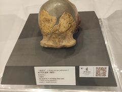 -北京周口店北京人遗址博物馆