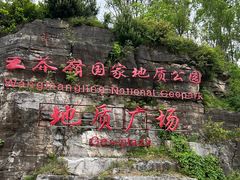 -王莽岭风景区