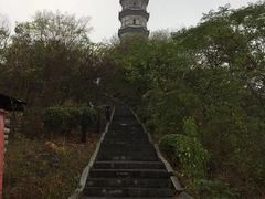 -巢湖姥山岛