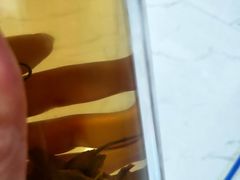 -茶颜悦色(金茂览秀城LG层外街店)