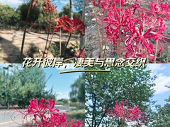 -西安浐灞国家湿地公园