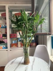 -沐童·产后修复·小儿推拿