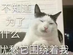 -武松家(丰益桥店)