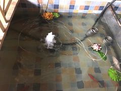 -缘福乡村铁锅炖民宿(八达岭店)
