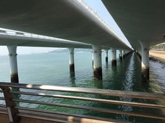 -演武大桥观景平台