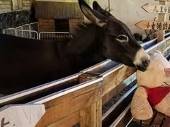 -HERRE·FARM 赫尔露营农场·团建聚会包场