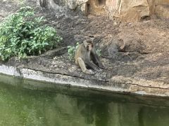 -海南热带野生动植物园