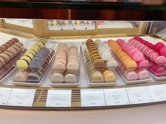 -PAUL LAFAYET 法式甜品(港汇广场店)