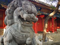 -北京第二实验小学