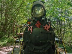 -五营红松林海景区