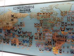 -大阪市立自然史博物馆