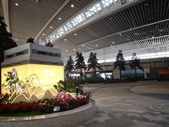 -青岛胶东国际机场