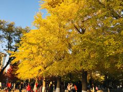 -辽宁大学(崇山校区)