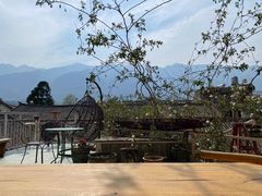 -喵屿·大理花园猫咖