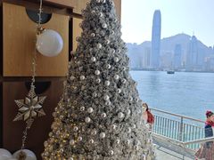 -海港城