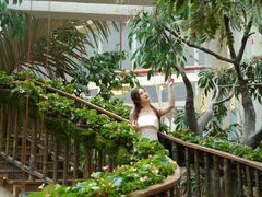 -正佳雨林生态植物园