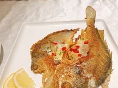 -十二粤味·顺德菜·烧鹅点心(五四广场店)