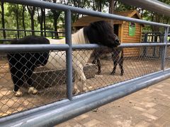 -长白岛森林公园