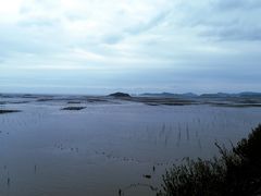 -北岐滩涂
