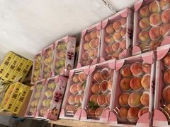 -南汇水蜜桃采摘(大团店)