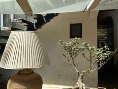 -大理老字号·舟渔的鱼野生菌海景餐厅(双廊店)