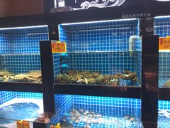 水产区-徽三说·土徽菜·中国徽菜连锁品牌(一中店)