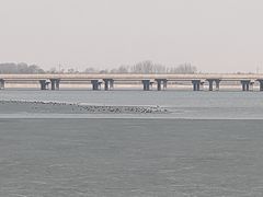 -丁香湖公园