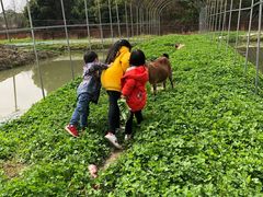 -两河城市森林公园