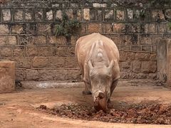 -昆明动物园