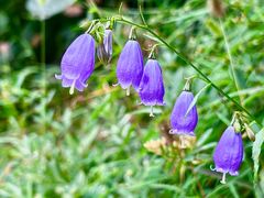 -龙洞风景区-藏龙涧