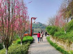 -重庆彩云湖湿地公园