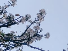 -中山公园