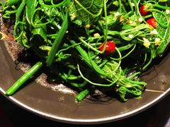 凉拌丝瓜尖-皇家冰窖小院(什刹海店)