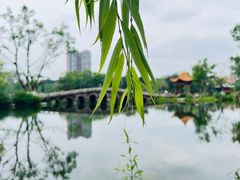 -北湖公园
