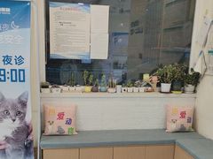 -美联众合动物医院·24h京西诊疗中心