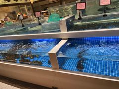 -渔人码头(中南店)
