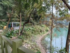 -广州市流溪河国家森林公园