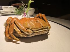 -马头巷·食景园(苏州总店)
