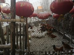 -鱼窝棚柴火铁锅炖(富山屯店)