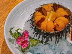 -连鹭海鲜·海肠捞饭·海胆饭(星海店)