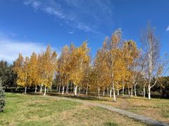 -长春公园(普阳街道)