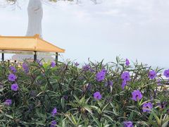 -南山素面馆(三亚南山文化旅游区店)