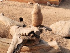 -祥源·阜阳生态乐园