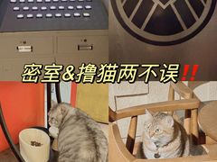 -H立方实景剧情密室(天河旗舰店)