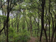 -无锡梅园公园