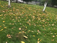 -江南大学(蠡湖校区)