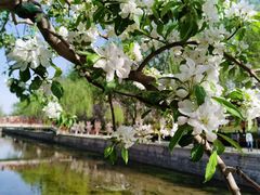 -元大都城垣遗址公园