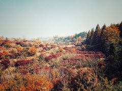 -丹山赤水风景名胜区