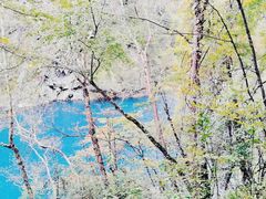 -叠溪松坪沟景区