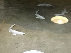 -瓦库茶馆17号(海汇港店)